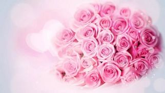 jn江南官方网站祝全体女同事节日快乐