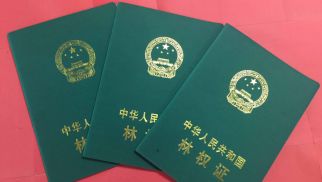jn江南体育农科公司逐步规范现代化农业体系