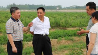 集团监事会主席肖厚志一行莅临“jn江南体育农科公司”审计、检查、指导工作