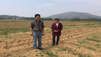 南京农业大学教授深入jn江南体育农科公司丹参种植基地调研指导