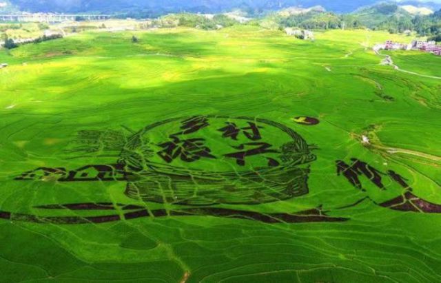 JN江南·体育网页版发起“乡村振兴微电影评选推广项目” 